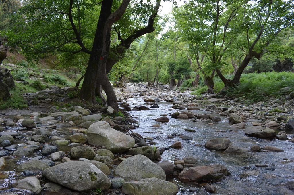 塞尔马 加里尼旅馆酒店 外观 照片