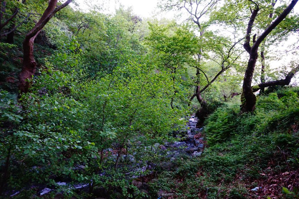 塞尔马 加里尼旅馆酒店 外观 照片